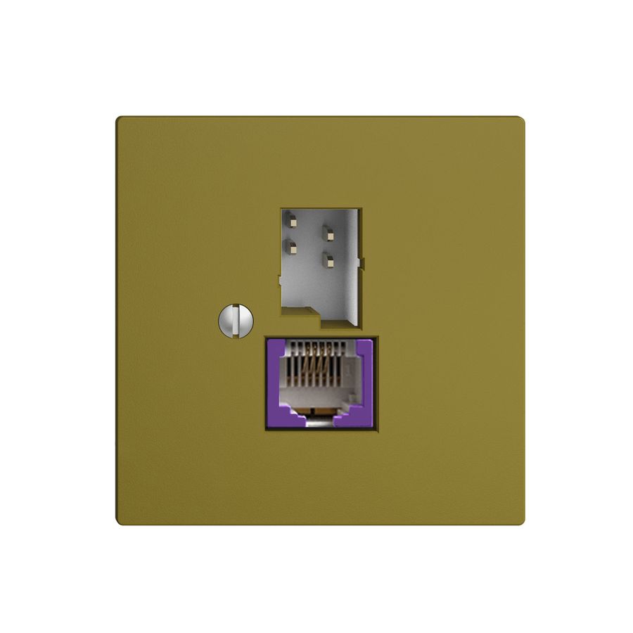 Dose T+T 6P/1×RJ45 DSL-Breitband EDIZIOdue olive