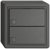 AP-KNX-Taster RGB EDIZIO.liv SNAPFIX® Temperaturfüh.o.LED 2×Taste 1-Tbed.dgu