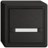 Poussoir KNX RGB AP EDIZIO.liv SNAPFIX® capteur temp.s.LED étiqu.1× comm.2T no