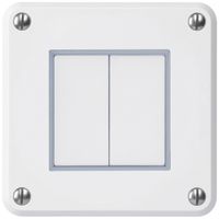 UP-Drucktaster robusto IP55 2×1P weiss für Kombination