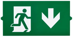 Pittogramma Philips EM155Z uscita verso il basso su due lati 314×158mm