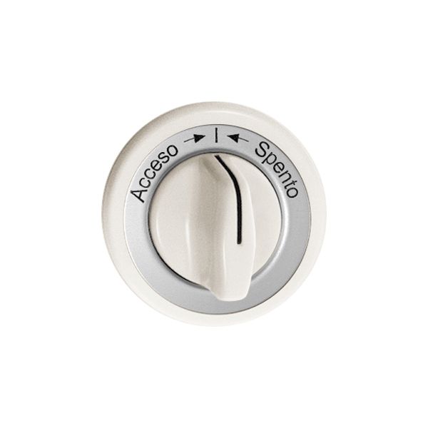 Frontset Accesso-I-Spento weiss für Schwenktaster FH