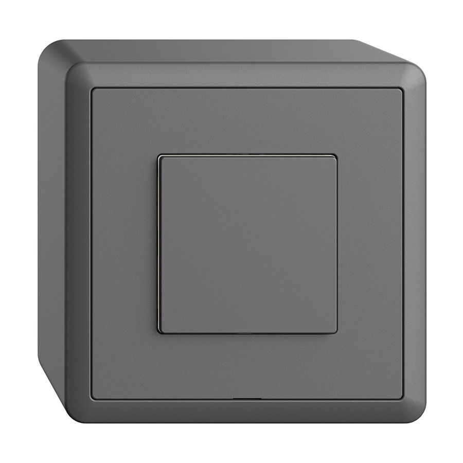 Interruttore AP 1K/1T Edue Wiser grigio scuro