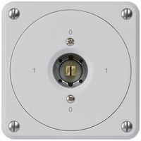 UP-Steckschlüsselschalter robusto ohne Klappdeckel 0/1P grau Kombi 4kt