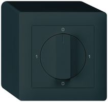 AP-Drehschalter kallysto 2/1L schwarz mit Drehgriff