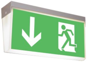 Notleuchte CFH 8W PE 1h