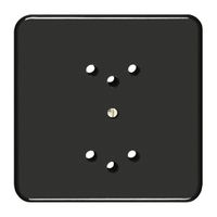 Frontset FH zu Steckdose 2×T12 schwarz