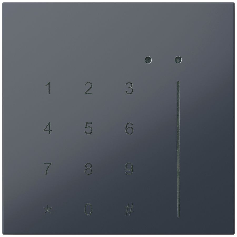 Module de contrôle d'accès MIFARE indépendant du système 5…30V DC anthracite