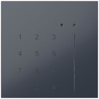 Module de contrôle d'accès MIFARE indépendant du système 5…30V DC anthracite