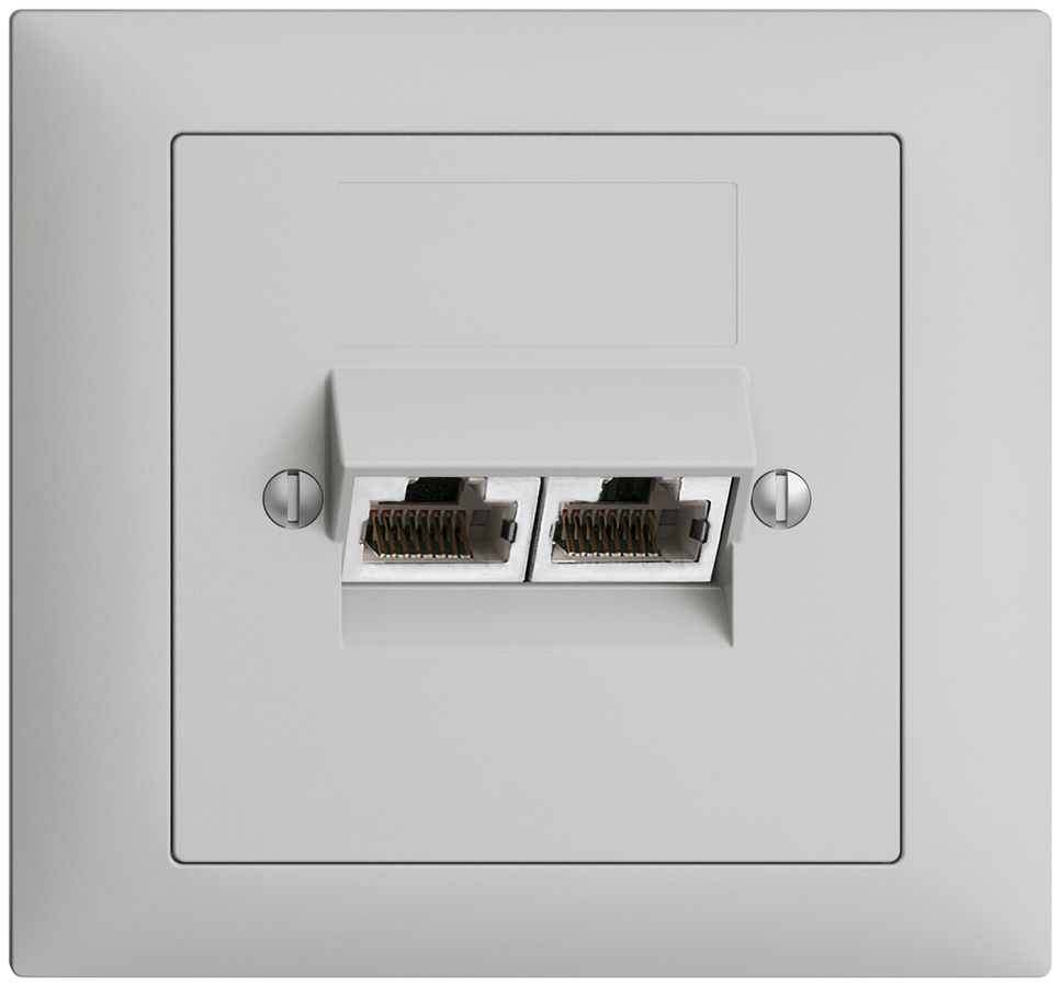 EB-Dose 2×RJ45/s 4P getr. EDIZIOdue hellgrau ITplus