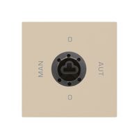 Einsatz zu Schlüsselschalter 0-Man-0-Aut. beige kallysto 2/1P für Schloss