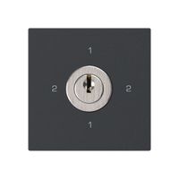 Einsatz zu Schlüsselschalter kallysto 3/1L schwarz mit Schloss Kaba 8