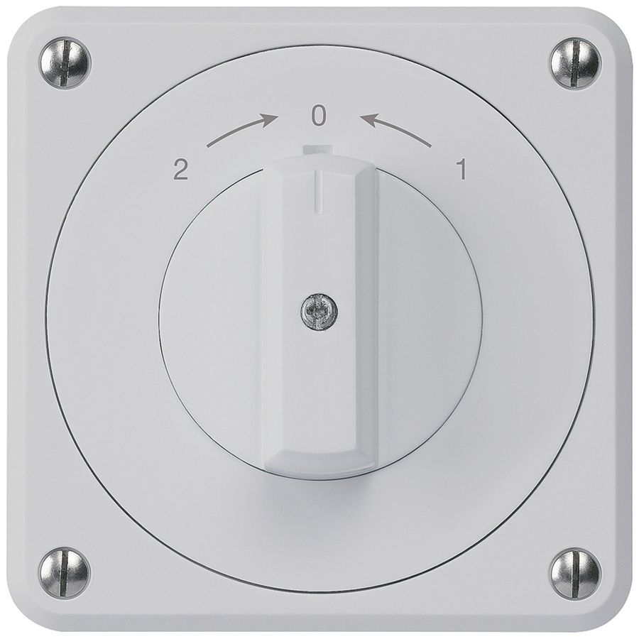 UP-Schwenktaster robusto IP55 grau Wechsler für Kombination
