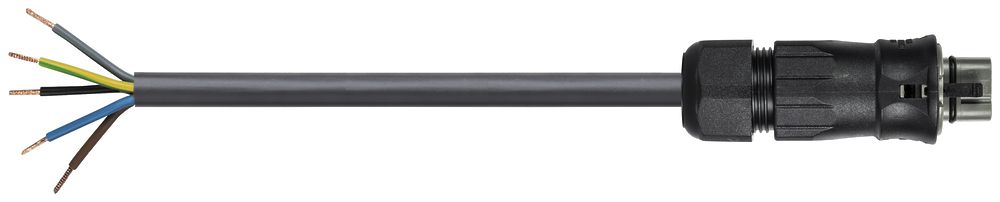 Cavo di allacciamento Wieland RST25I5KS-S 60S 20BG03 2m 5L 6mm² grigio cemento