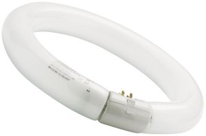 Lampe fluorescente FC T9 G10q 22W 840 Circline