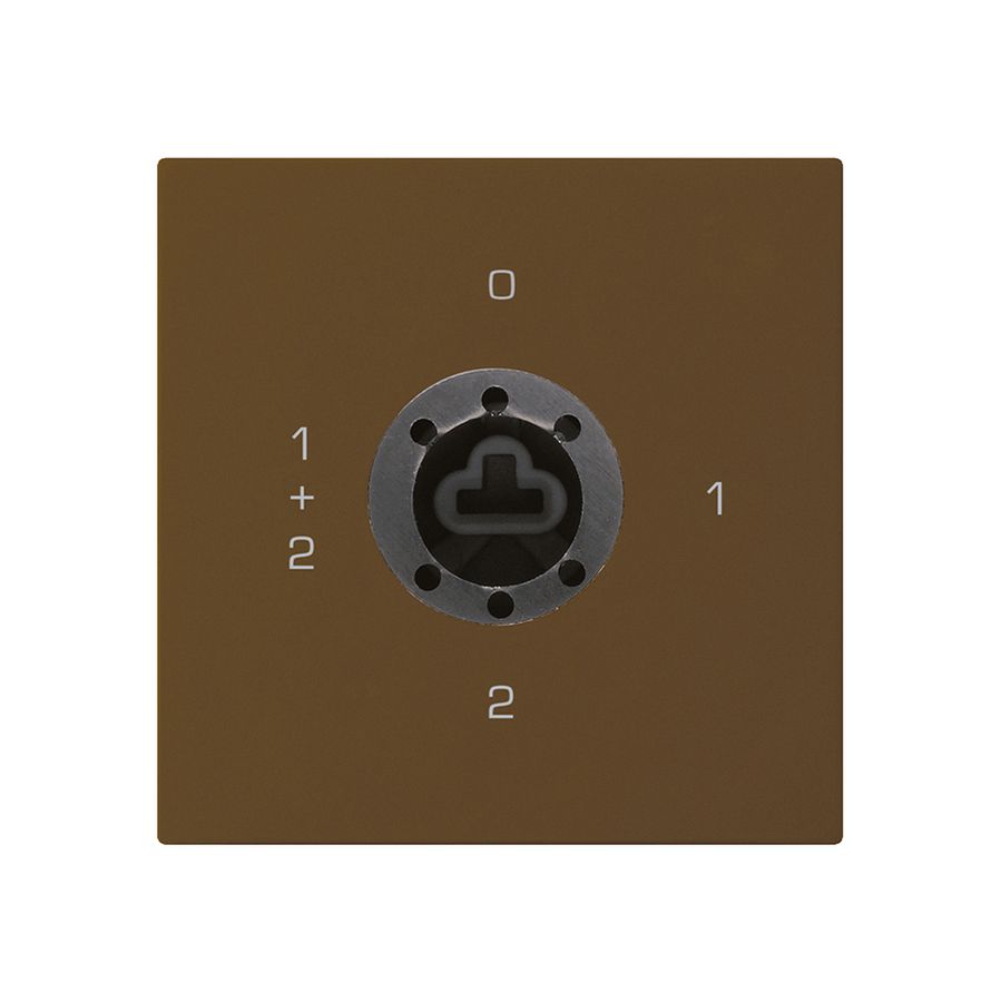 Intérieur interrupteur à clé kallysto 1/1L brun p.serrure de sûreté s.cylindre