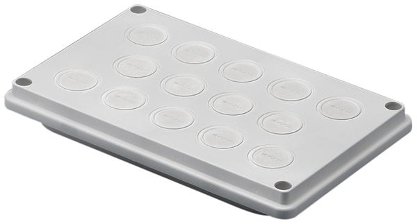 Passacavi Rittal SV 9665.750 250×160mm materiale sintetico membrana