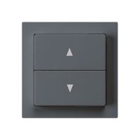 Storentaster kallysto anthrazit mit 2 Funktionstasten Steckklemme