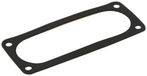 Flanschdichtung RW für CUBO C+O Gr. II