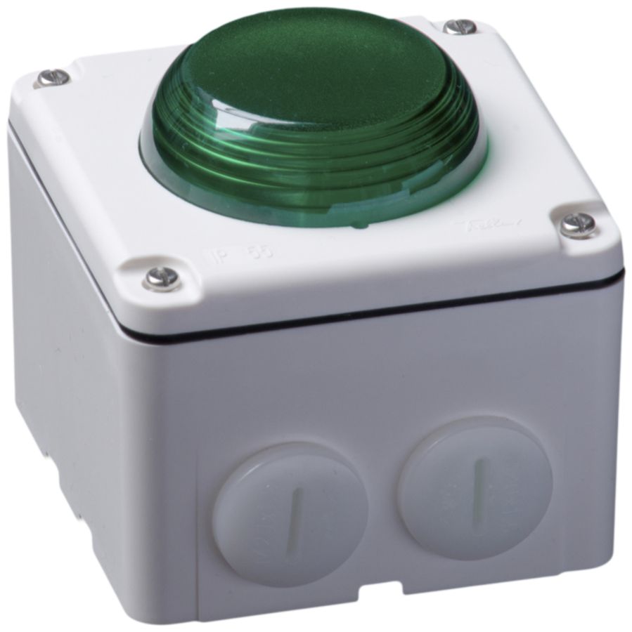 Blitzleuchte Hugentobler Typ 18 NAP 230VAC grün