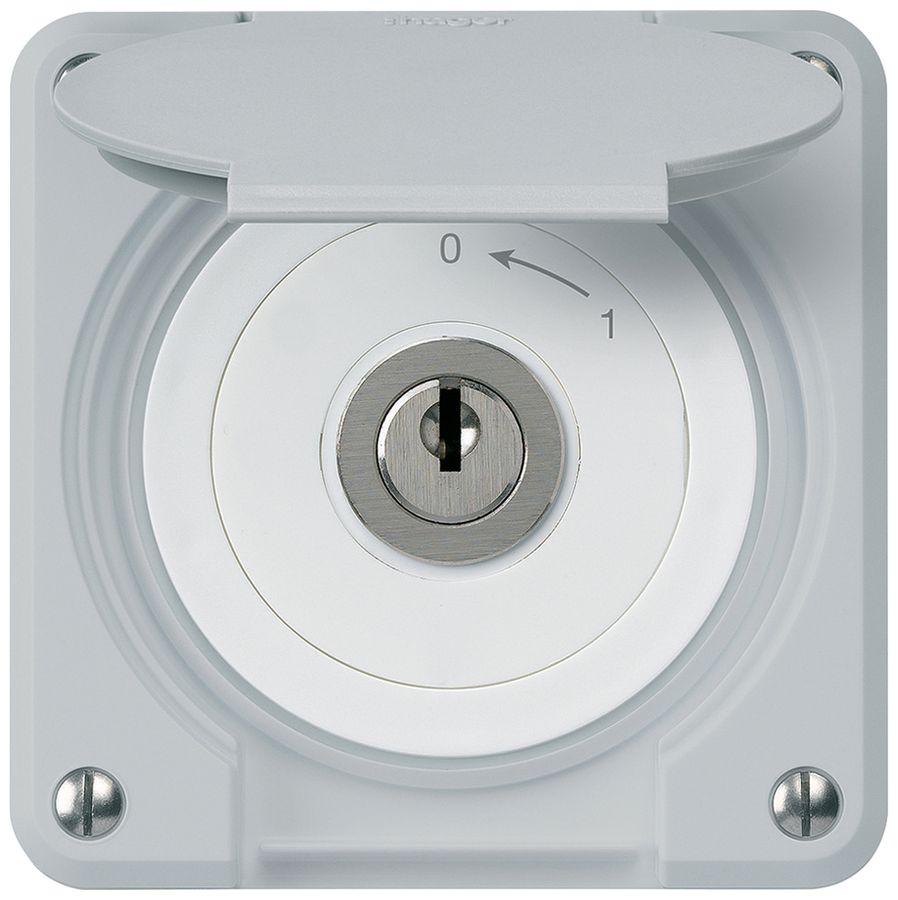 UP-Schlüsselschwenktaster robusto IP55 grau mit Deckel 1P