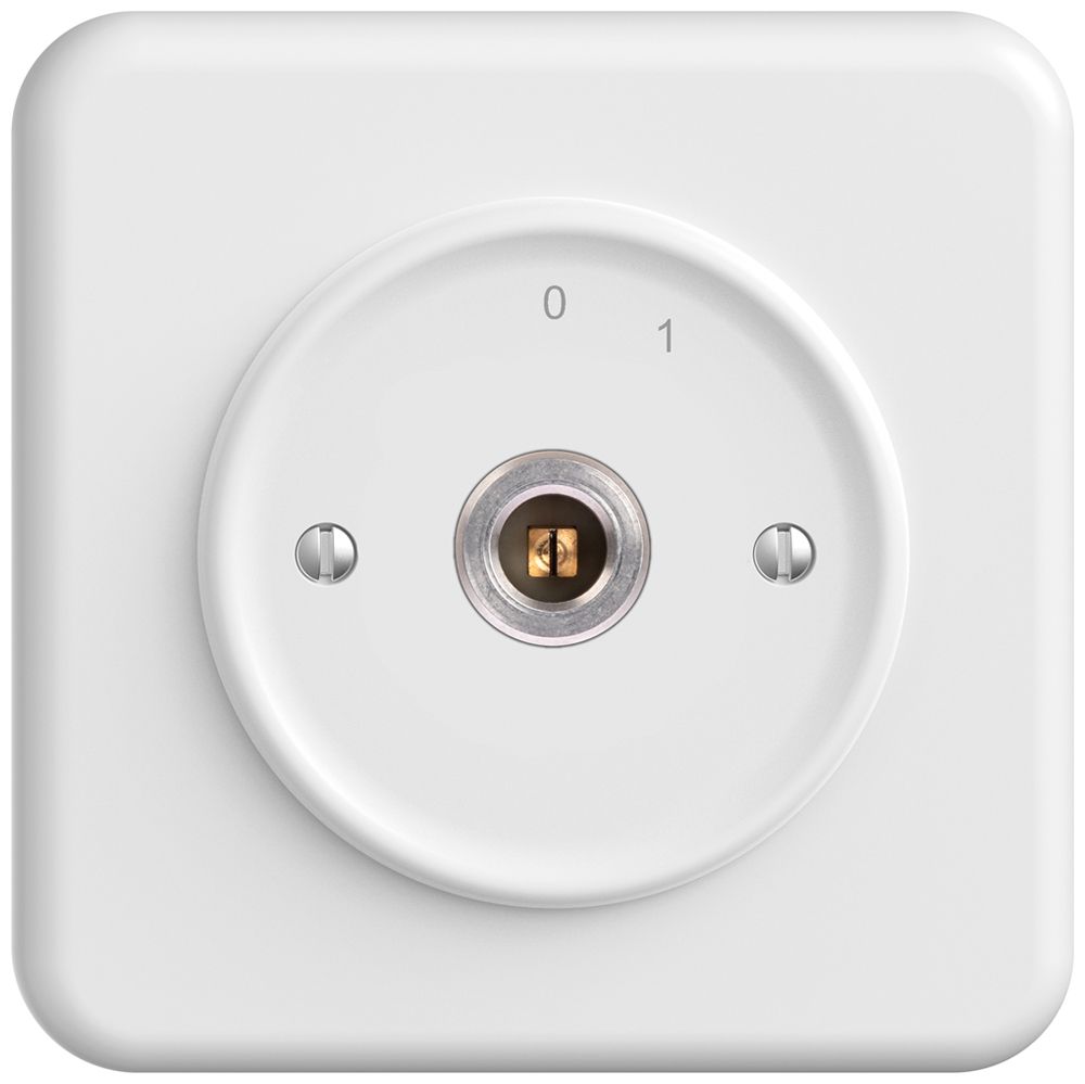 UP-Schlüsselschalter STANDARDdue 1P Vierkant/Schlitz 20A 690V 0-1 Rückzug ws