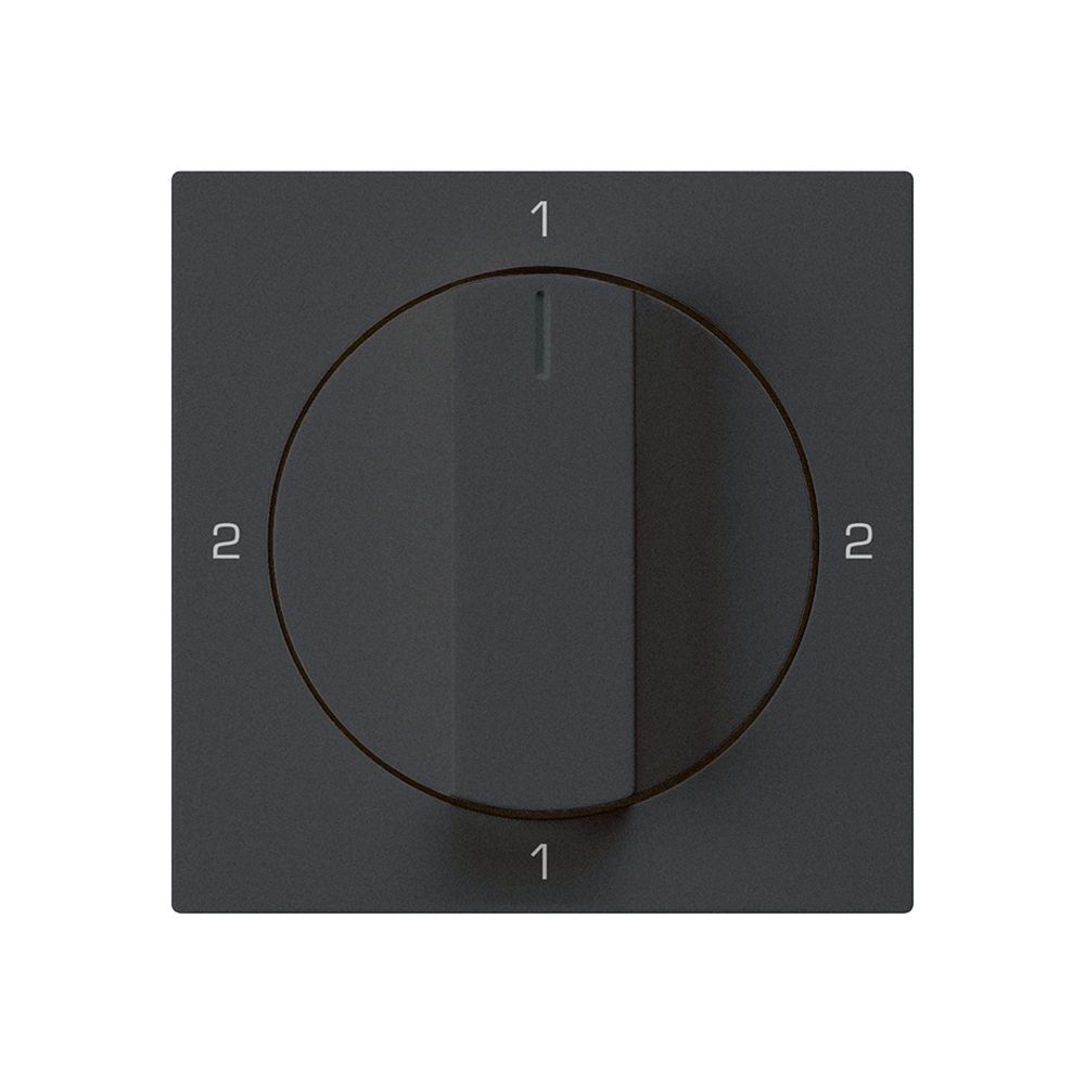 Einsatz zu Drehschalter kallysto 3/1L schwarz mit Drehgriff