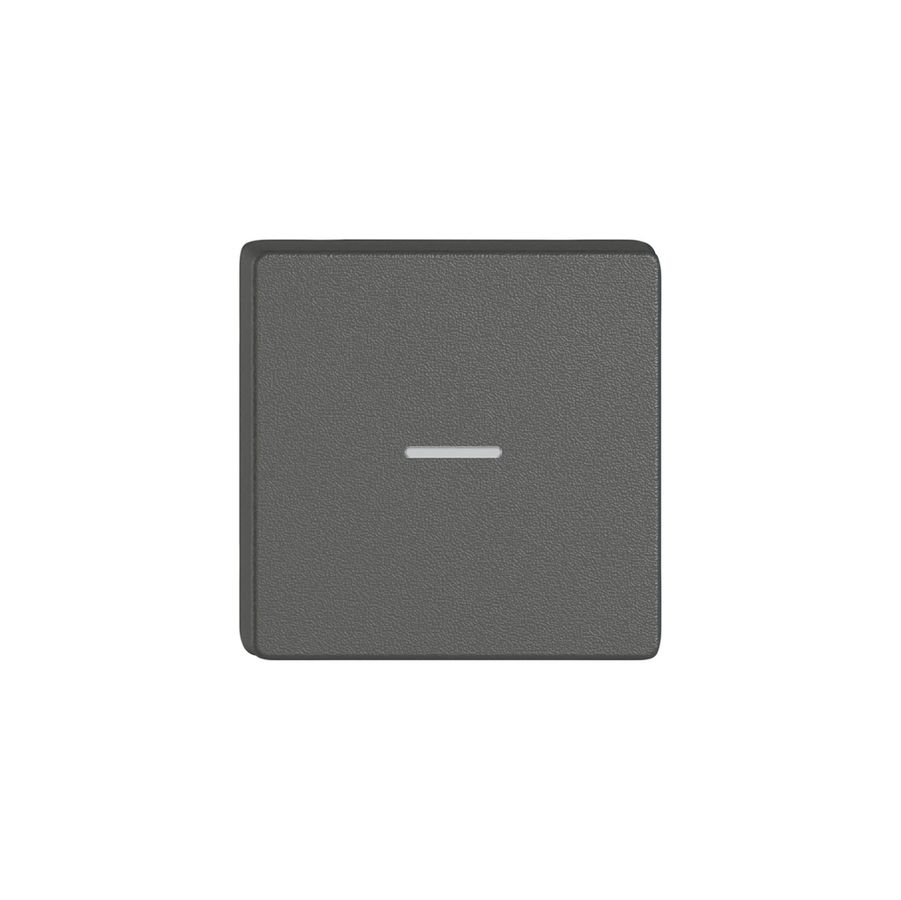 Poussoir 1/4 EDIZIO.liv Wiser avec SNAPFIX® avec symbole – (moins) grf