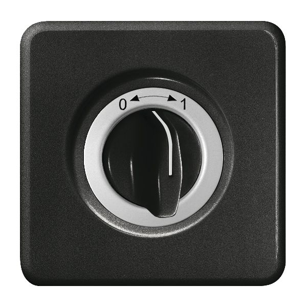 UP-Frontset 0-1 schwarz, für Schwenktaster FH