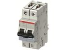Disgiuntore SMISSLINE TP, 2L, C, 63A, 20kA