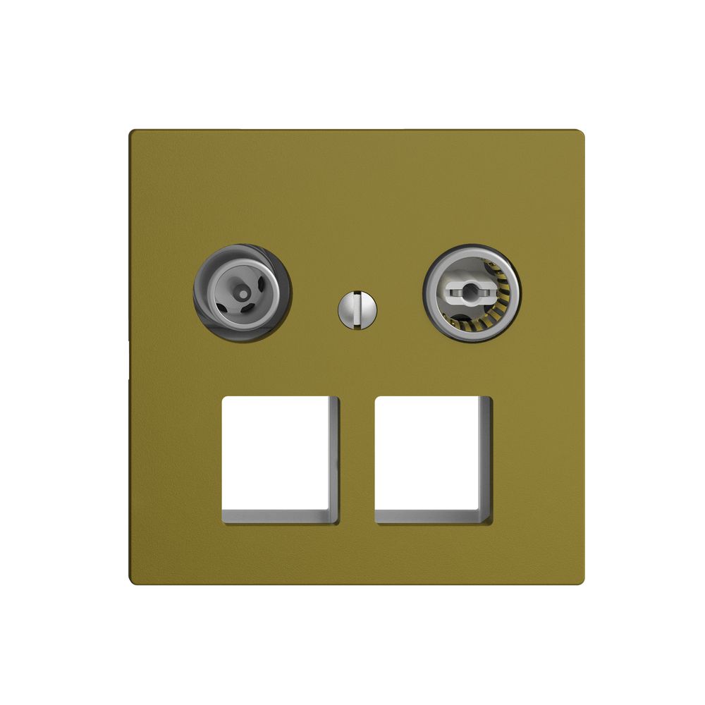 Prise multimédia 4dB Edue F, prise de dérivation, pour 2×RJ45 Keystone, olive