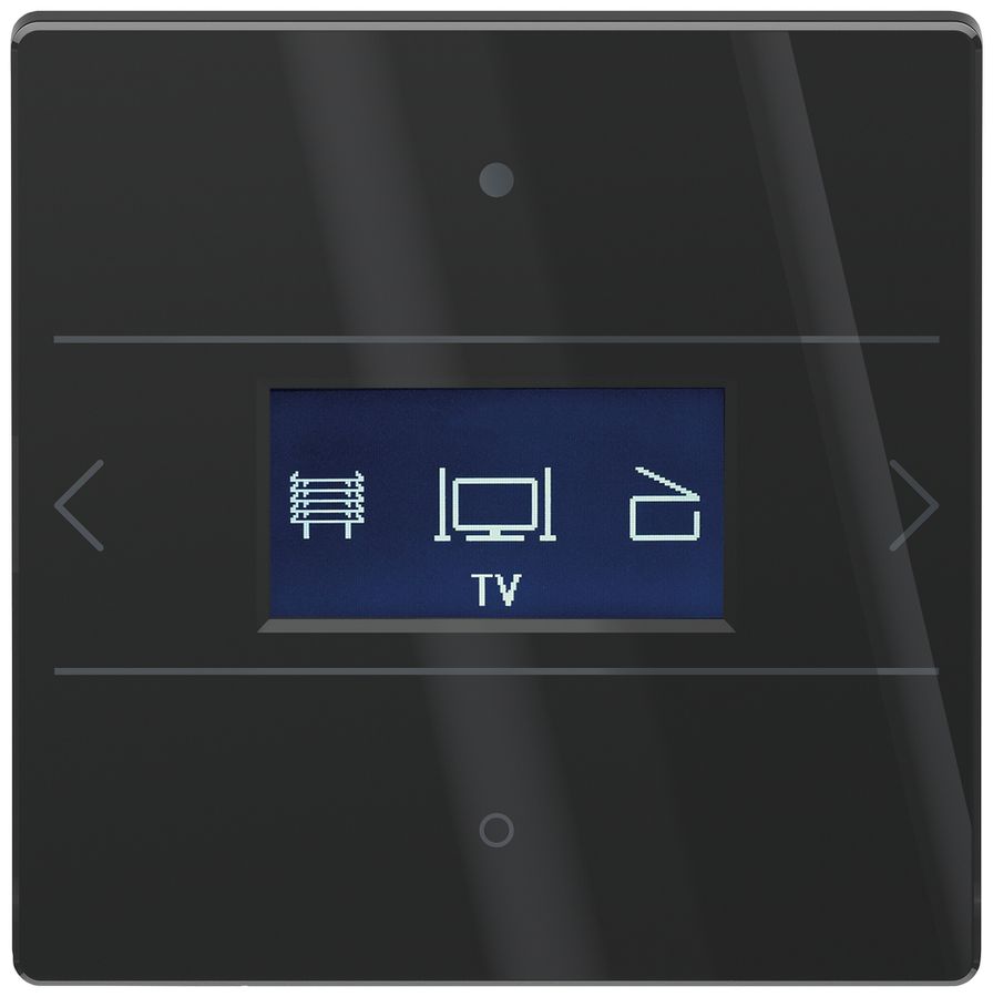 Bediengerät Theben LUXORliving iON8 G Mit Raumthermostat schwarz