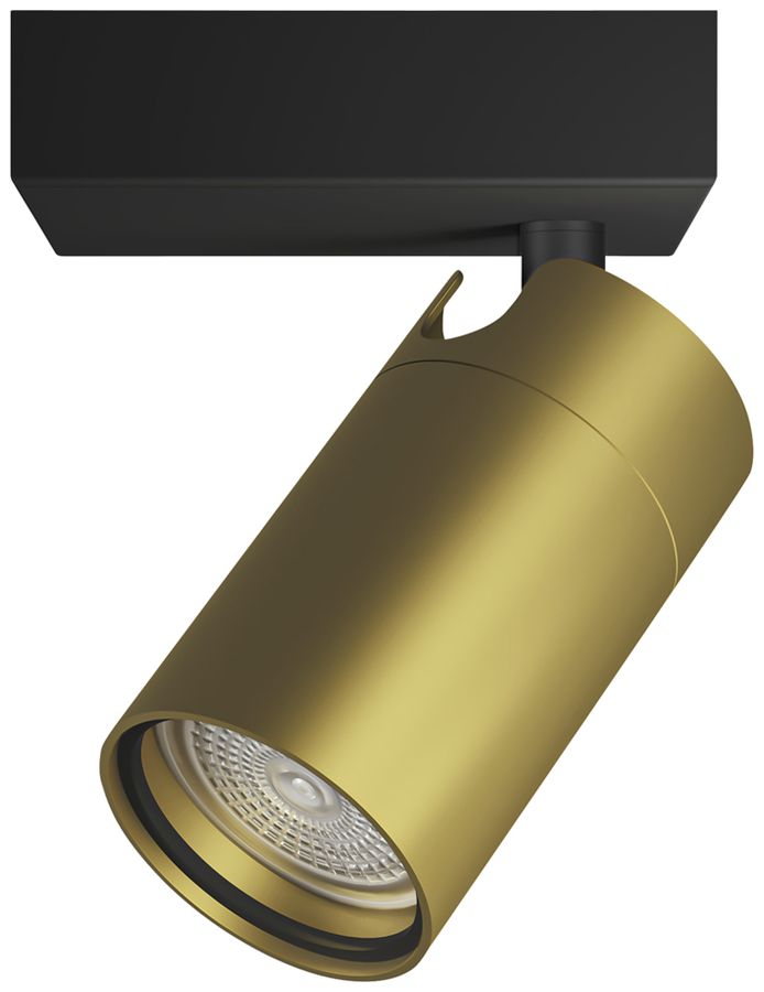 Spot Philips Idris GU10 1×5W IP44 109×100mm nero/ottone