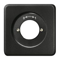 UP-Frontset 0-1 schwarz, für Schlüsselschwenktaster FH