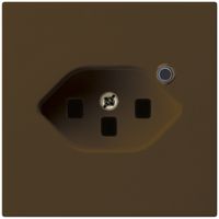 Steckdose Hager kallysto 1×T23 beleuchtet A braun