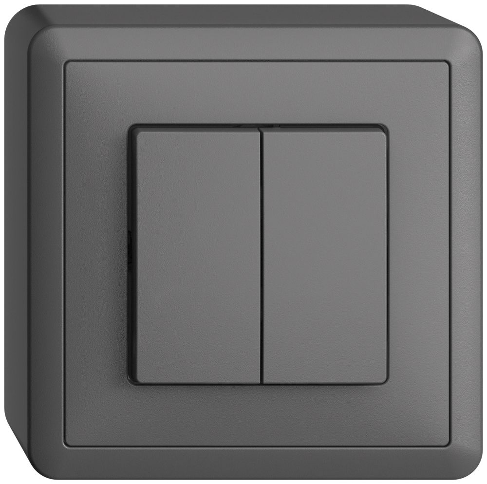 AP-Taster EDIZIOdue 2×A-R/1P dunkelgrau