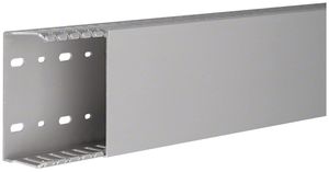 Verdrahtungskanal Tehalit DNG 50×100 grau