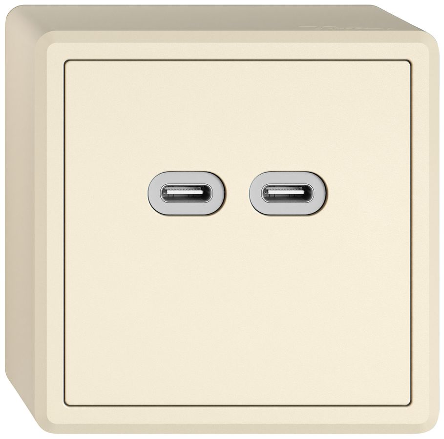 AP-USB-Ladesteckdose EDIZIO.liv SNAPFIX® 230VAC 18W 2×USB Typ C cr