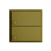 UP-Taster KNX 2-fach EDIZIOdue olive RGB ohne LED