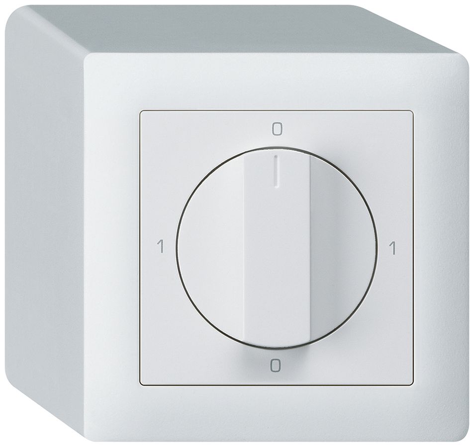 AP-Drehschalter kallysto 2/1L weiss mit Drehgriff