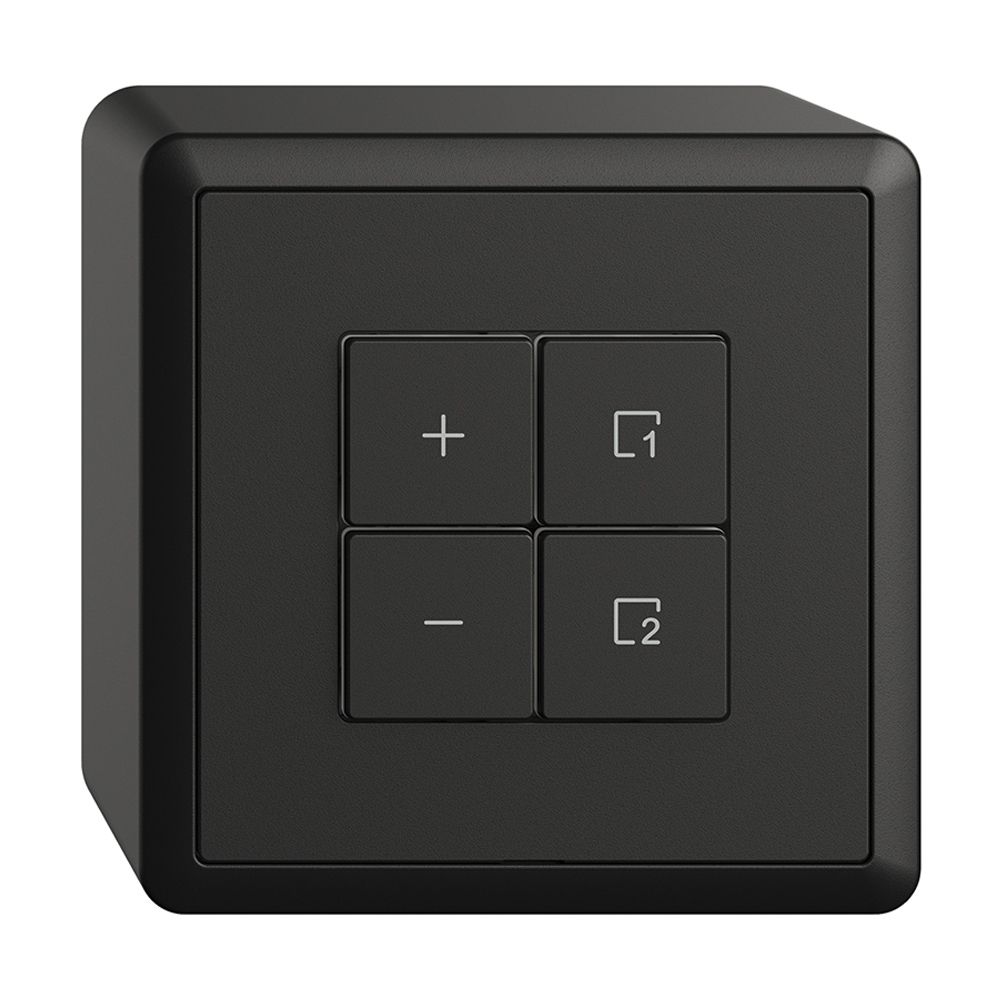 Dimmer DALI AP 1K/4T scena WLAN Edue Wiser nero