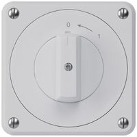 UP-Schwenktaster robusto IP55 grau 2P für Kombination