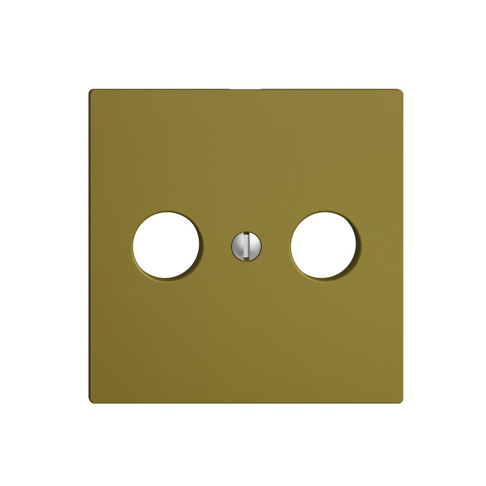 Placca frontale EDIZIOdue olive per R/TV