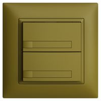 UP-KNX-Taster RGB EDUE FMI, 250mW, o.LED, m.Papier, 2×Taste, 1×Tastenb., ov