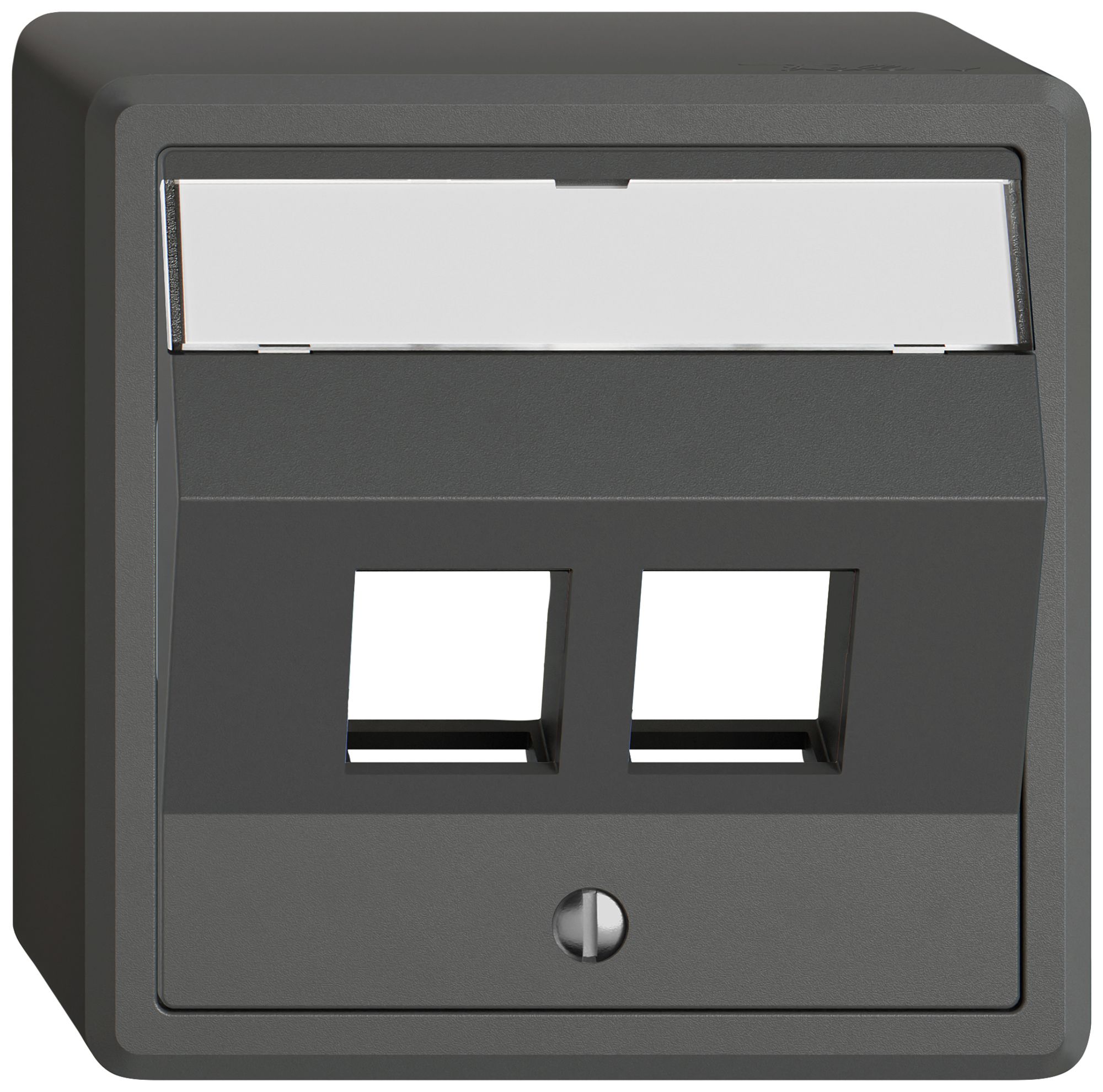 Kit de montage AP EDIZIO.liv Keystone SNAPFIX® incliné 2× grf