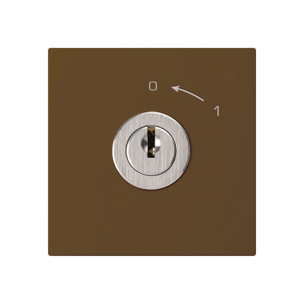 Schwenktaster 0<-1/2L braun kallysto mit Schloss Kaba 8