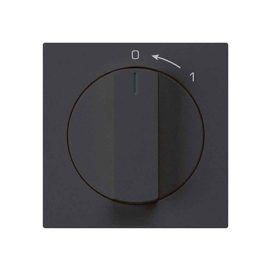 Frontset für Schwenktaster schwarz 60×60mm kallysto 0<-1