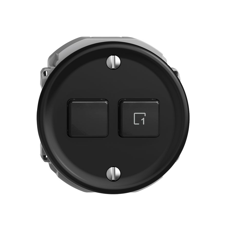 Commande pour interrupteur STANDARDdue Wiser 1c 2t no