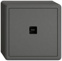 Interfaccia dati USB KNX AP EDIZIO.liv SNAPFIX® presa USB tipo B grs