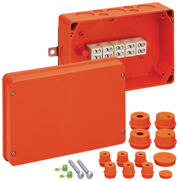 Boîte de dérivation AP Demelectric WKE 5-Duo E90 5×16mm² 256×171×106mm